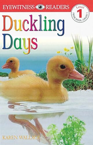 Duckling days  /